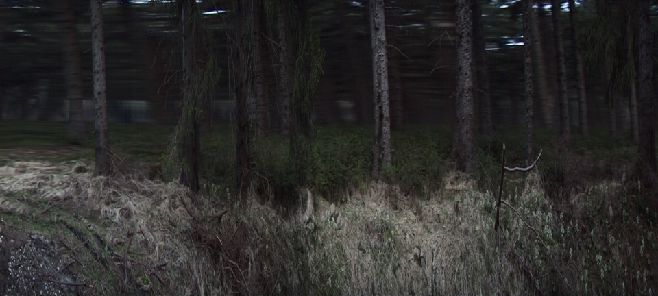 Videostill - Trifter 1 - Rainer Gamsjäger - 2007