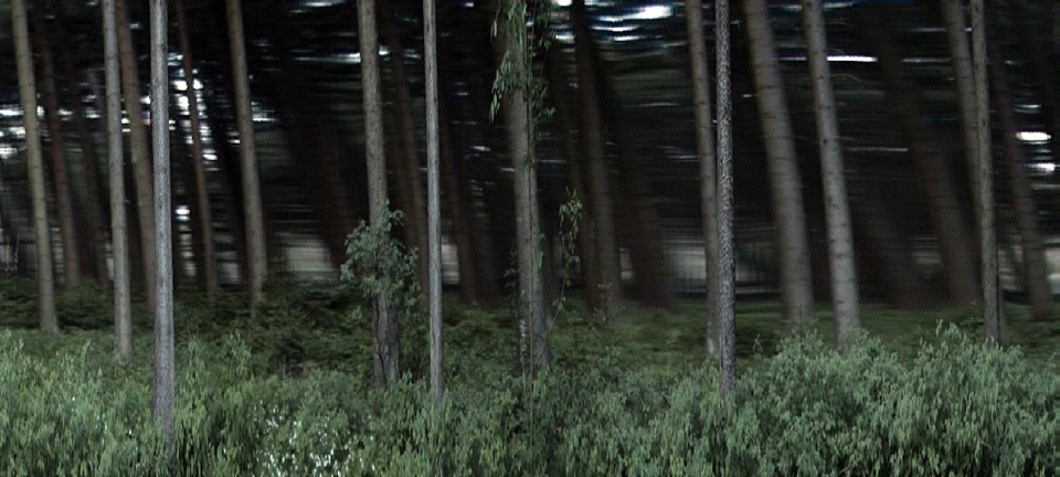 Videostill - Trifter - Rainer Gamsjäger - 2007